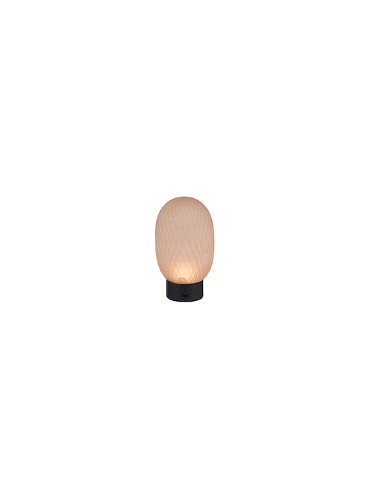 Trio Lighting Διακοσμητικό Φωτιστικό LED Θερμό Λευκό 3000K