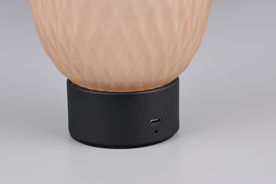 Trio Lighting Decorative Lamp Honey