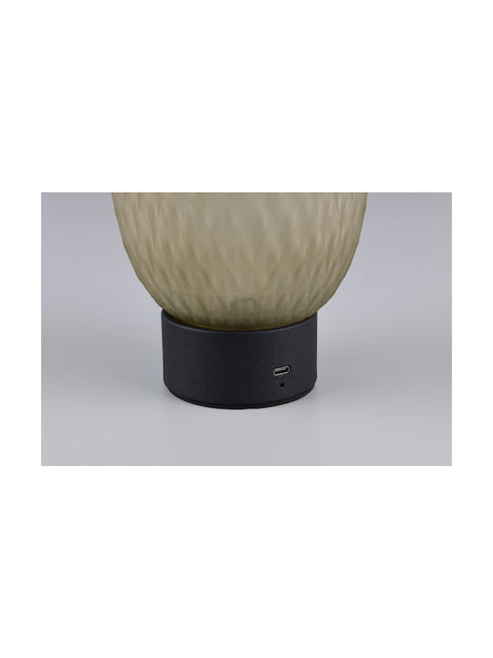 Trio Lighting Διακοσμητικό Φωτιστικό LED Θερμό Λευκό 3000K