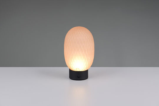 Trio Lighting Decorative Lamp Honey
