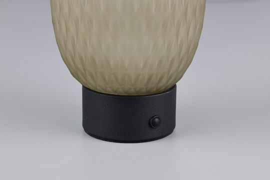 Trio Lighting Dekorative Lampe Grün