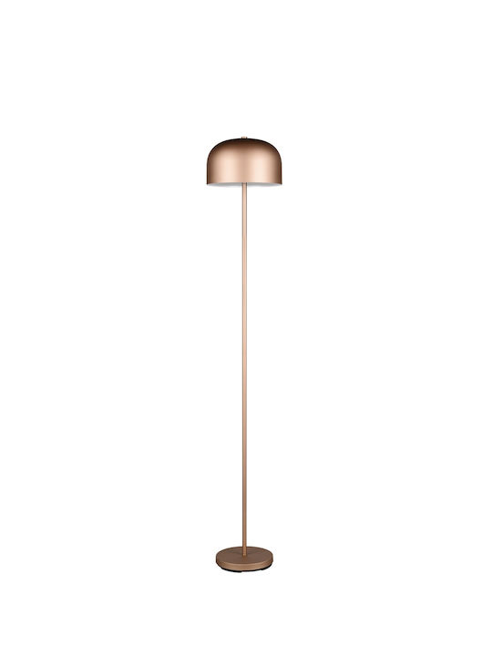 Trio Lighting LED Φωτιστικό Δαπέδου με Θερμό Λευκό Φως Καφέ