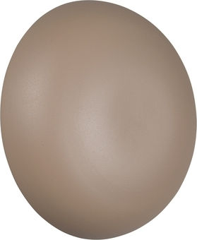Trio Lighting Modern Lamp Wall Beige