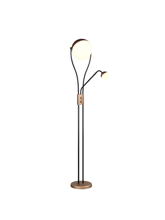 Trio Lighting Chris LED Floor Lamp with Warm White Light Brown