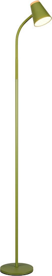 Trio Lighting LED Floor Lamp with Warm White Light Green