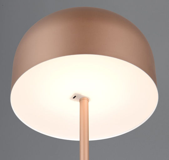 Trio Lighting LED Stehleuchte mit Warmweißem Licht Braun