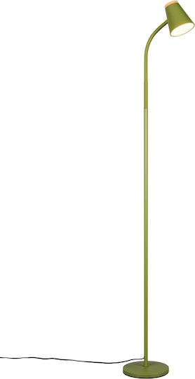 Trio Lighting LED Floor Lamp with Warm White Light Green