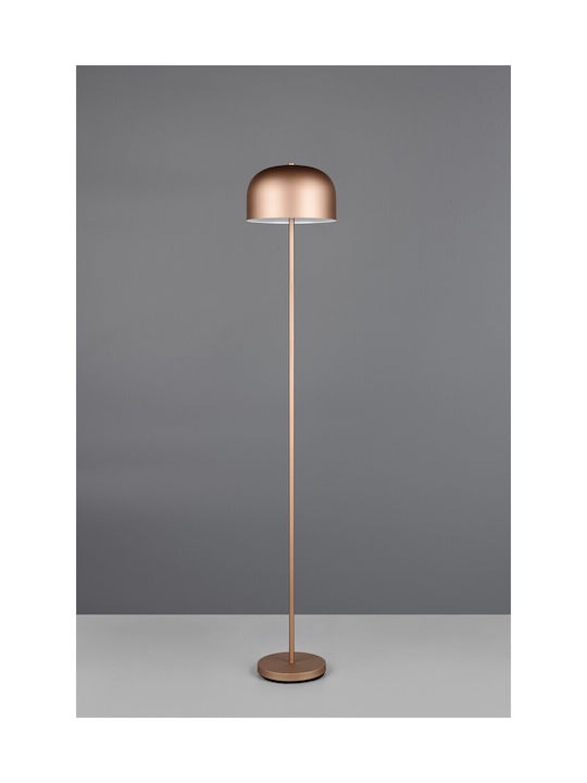 Trio Lighting LED Φωτιστικό Δαπέδου με Θερμό Λευκό Φως Καφέ