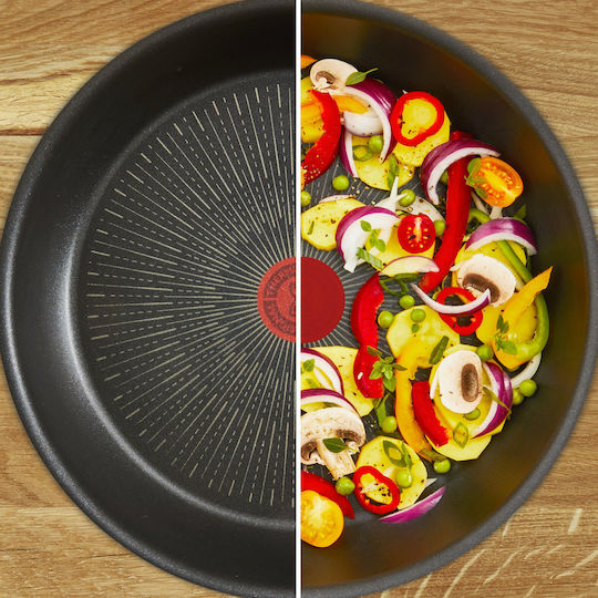 Tefal Ingenio Eco Resist Tefal Ingenio Eco Resist