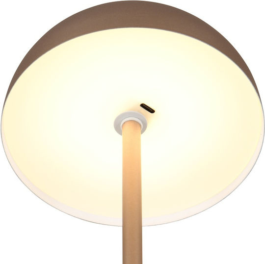 Trio Lighting Metal Table Lamp LED with Brown Shade and Base