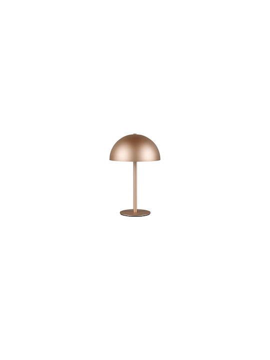 Trio Lighting Μεταλλικό Πορτατίφ LED με Καφέ Καπέλο και Βάση