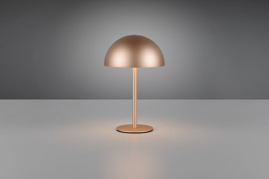 Trio Lighting Metal Table Lamp LED with Brown Shade and Base