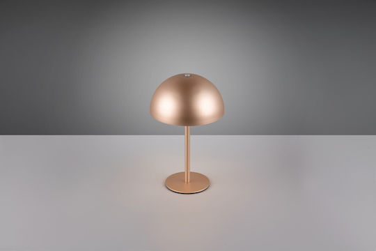 Trio Lighting Metal Table Lamp LED with Brown Shade and Base