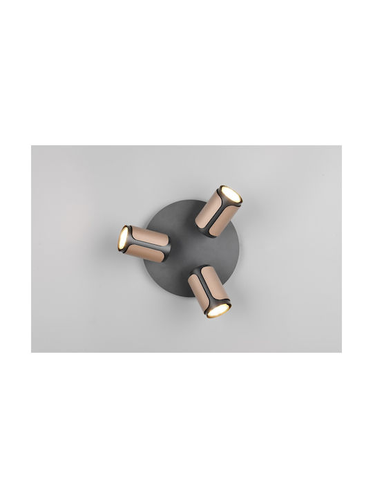 Trio Lighting Τριπλό Σποτ σε Καφέ Χρώμα