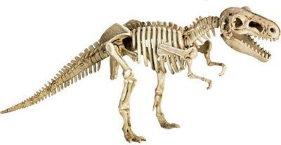 Die Spiegelburg Trex Educational Game Dinosaur Excavation