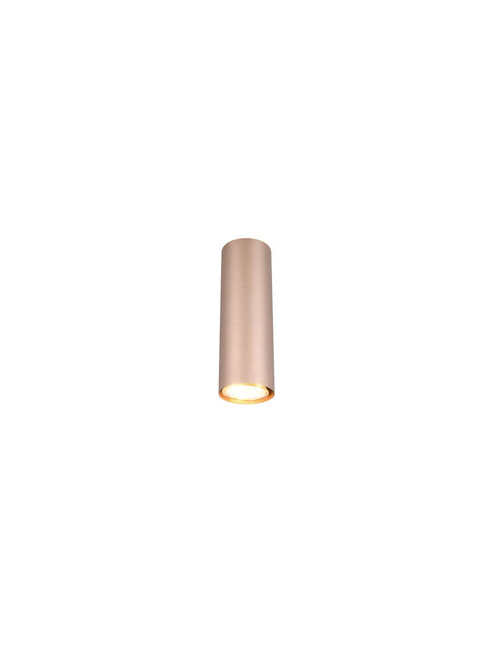 Trio Lighting Marley Modern Lamp Wall with Socket GU10 Brown 6x8x6cm