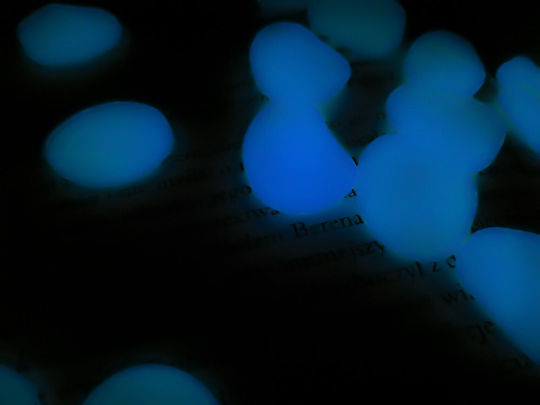 Set Decorative Stones Zola Phosphorescent 100 Pieces Blue Size 2-3 Cm