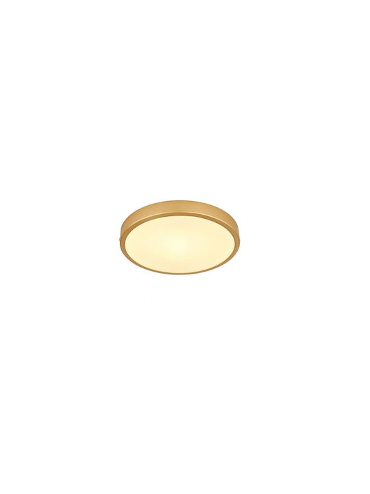 Globo Lighting Πλαφονιέρα 25εκ. LED