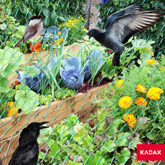 Kadax Δίχτυ Απώθησης Πουλιών