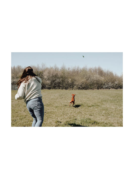 Hunter Kunststoff Spielzeug Hund Grün 1Stück