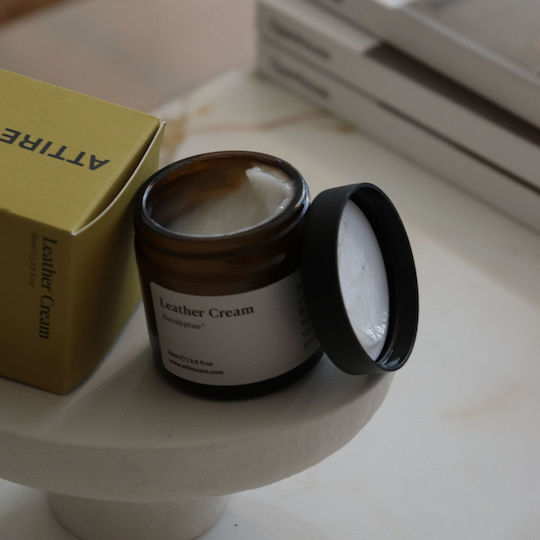 Attirecare Agent de curățare pentru Încălțăminte din piele 60ml