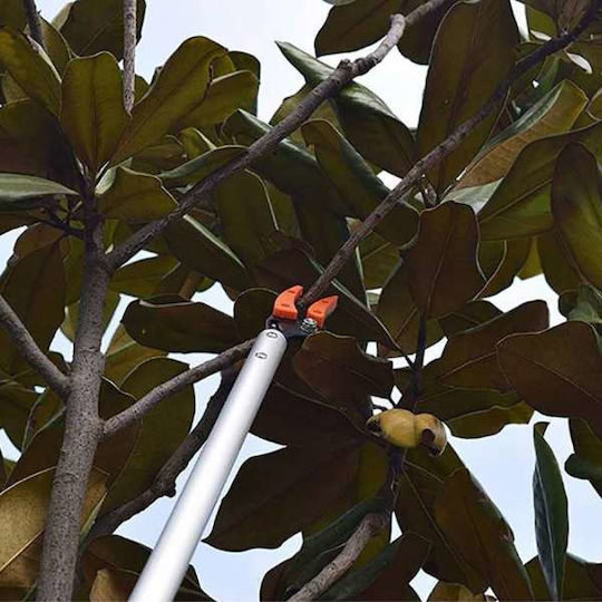 Extension Pruner 22mm/65cm