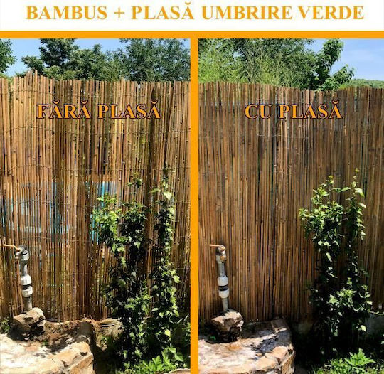 Strend Pro Gard De Bambus Cu Lemn Întreg 1x5m Strend Pro Gard De Bambus Cu Lemn Întreg 1x5m