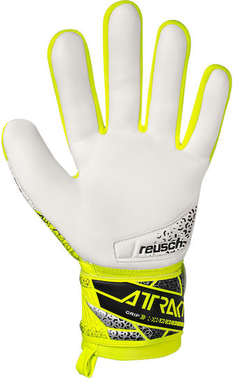 Reusch Reusch Attrakt Grip Mănuși portar Adulți Argintiu