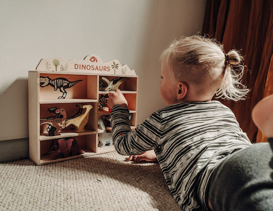 Tender Leaf Toys Dinosaurs for 3+ Years