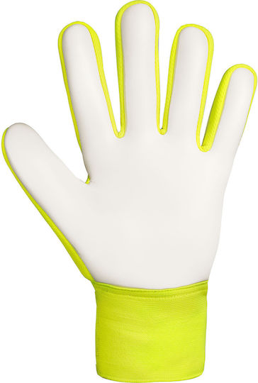 Reusch Reusch Attrakt Starter Solid Голмански ръкавици за Възрастни Многоцветни