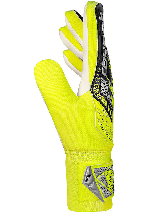 Reusch Reusch Attrakt Starter Solid Adults Goalkeeper Gloves Multicolour