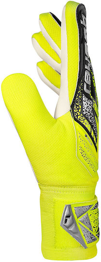 Reusch Reusch Attrakt Starter Solid Голмански ръкавици за Възрастни Многоцветни