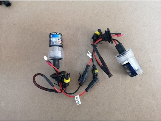 Lămpi Autoturismului & Motocicletei H7 Xenon 6000K Alb rece 12V 55W 2buc