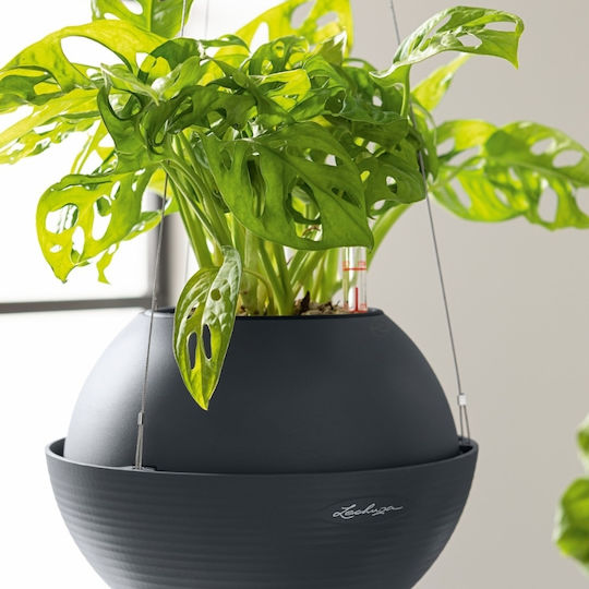 Lechuza Bola Plastic Flower Pot Charcoal 32x32x25cm