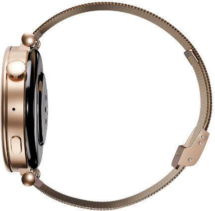 Garett Rose Rose Gold Mesh