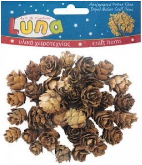 Luna Craft Accessory 30gr Small Wood Slices