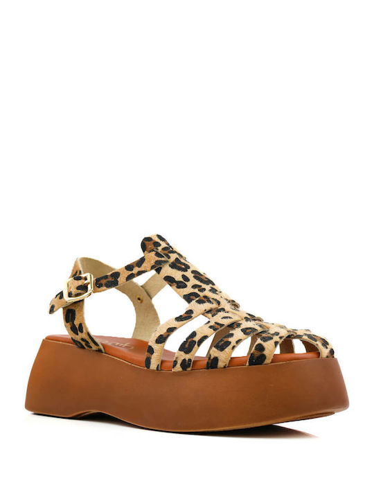 Leopard Flatforms with Velcro Closure