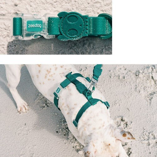 Zee Dog Λουρί/Οδηγός Σκύλου Ιμάντας σε Πράσινο χρώμα