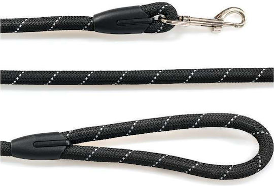 Glee Dog Leash/Lead Strap 0.61m x 0.8cm (Various Colors)