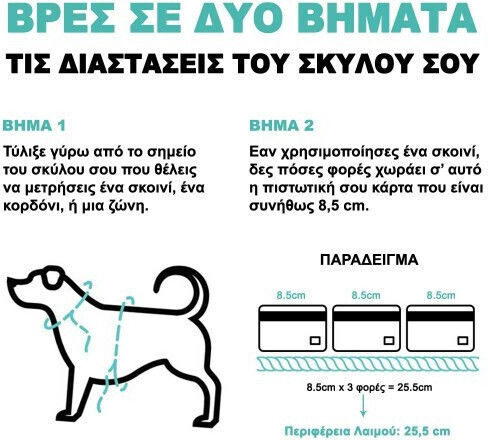 Zee Dog Λουρί/Οδηγός Σκύλου Ιμάντας 1.2m x 1cm