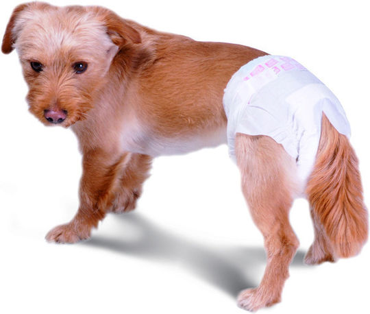 Record Assorbi Piu Dog Panties Medium - 65cm 12pcs
