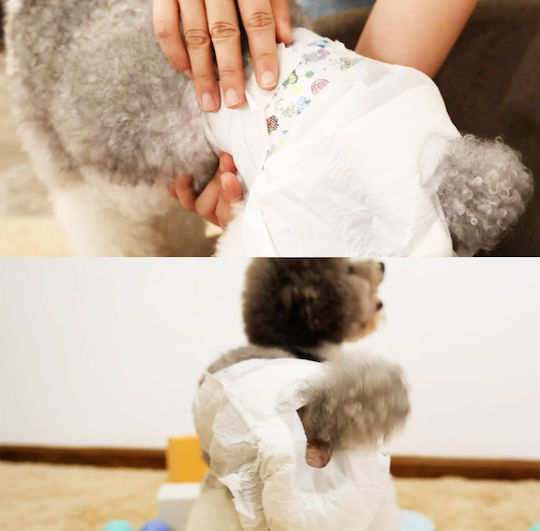 Nobleza Dog Diaper Period 12 pcs