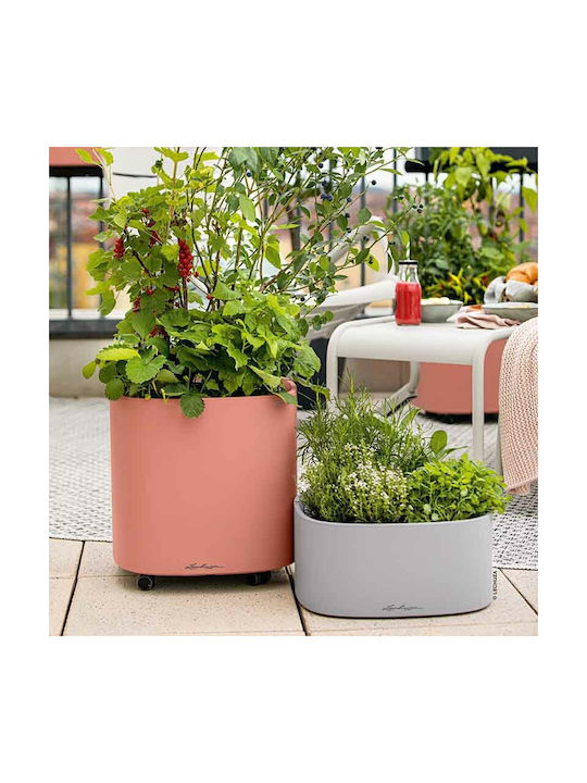 Lechuza Pila Stick Self-watering Pot Plastic Coral Red 16.5x35x16.5cm.