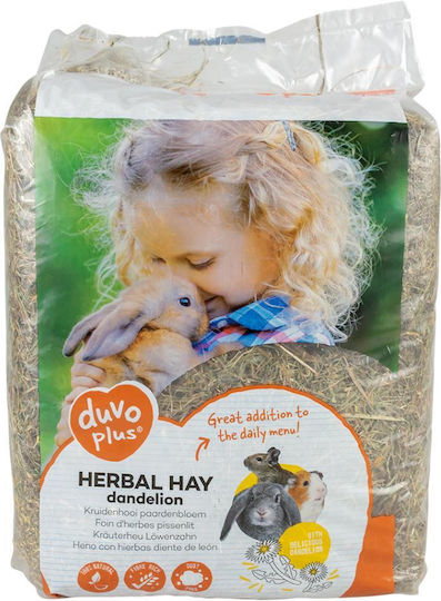 Duvo Plus Grass with Chicory for Guinea Pig, Rabbit and Hamster 500gr 004517