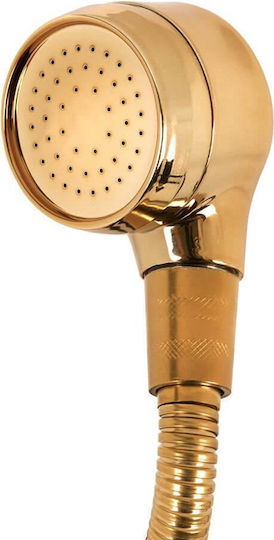 Hairdressing Wash Unit Handset Gold Large