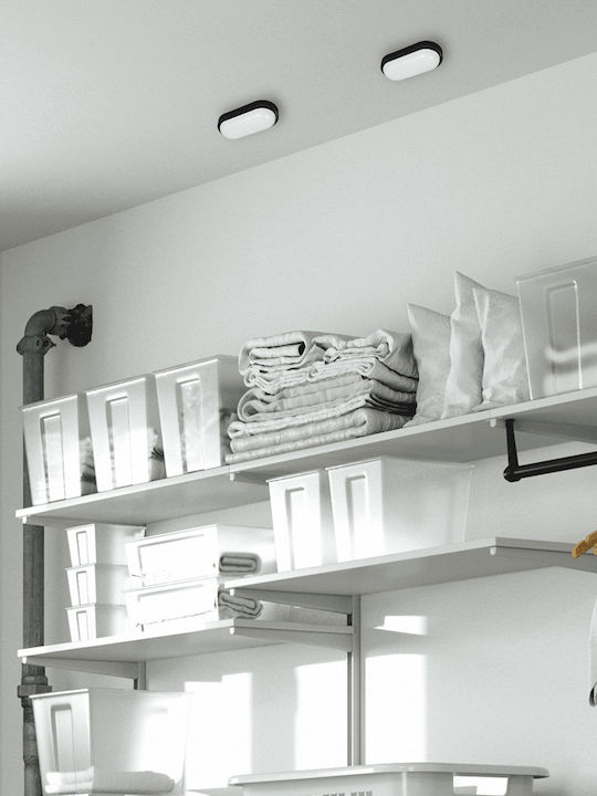 Eko Light Wandmontierte Außen-Schildkrötenleuchte LED 8W Eko Light Wandmontierte Außen-Schildkrötenleuchte LED 8W