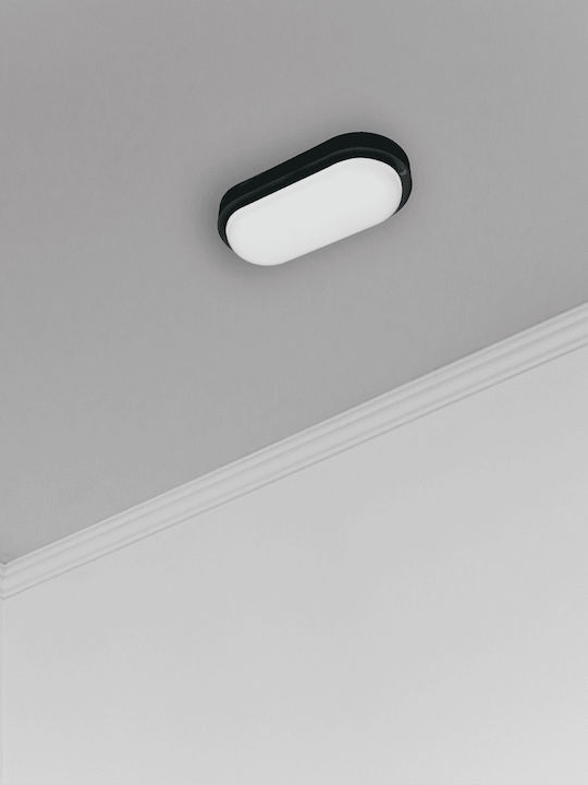 Eko Light Wandmontierte Außen-Schildkrötenleuchte LED IP64 8W
