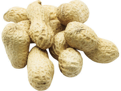 Peanuts Peanuts Raw with Shell Unsalted 500gr