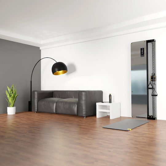 Luxury Fitness Wall-mounted Air Pulley (Mirror) Τροχαλία Πλάτης χωρίς Βάρη