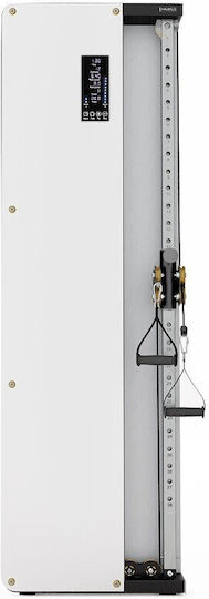 Luxury Fitness Wall-mounted Air Pulley (Mirror) Τροχαλία Πλάτης χωρίς Βάρη